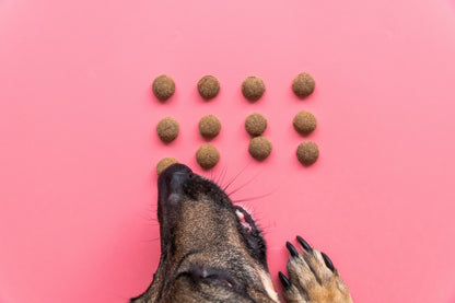 Backmatte für Hundeleckerlies, Tiernahrung, Katzenfutter und Trockenfutter - 468 Halbkugeln - Lebensmittelecht & Hitzebeständig