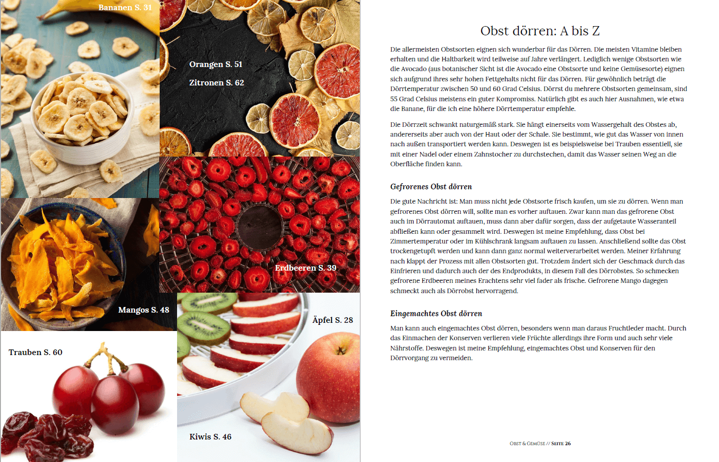 Obst & Gemüse trocknen: Das Lexikon [E-Book]