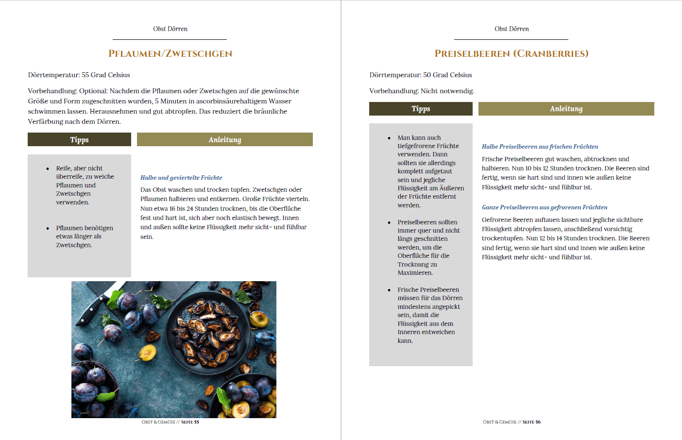 Obst & Gemüse trocknen: Das Lexikon [E-Book]
